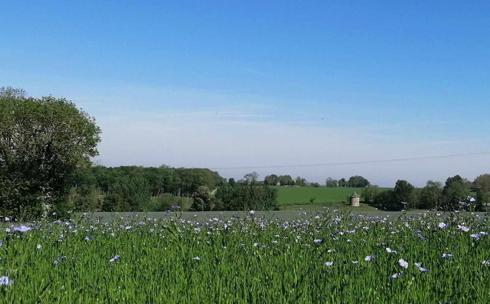 La Vieille Ferme Villa Donnay Kültér fotó